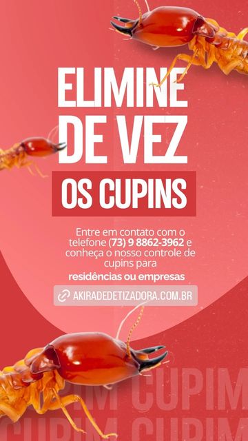 Akira Dedetizadora E Desentupidora Ltda Facebook ad