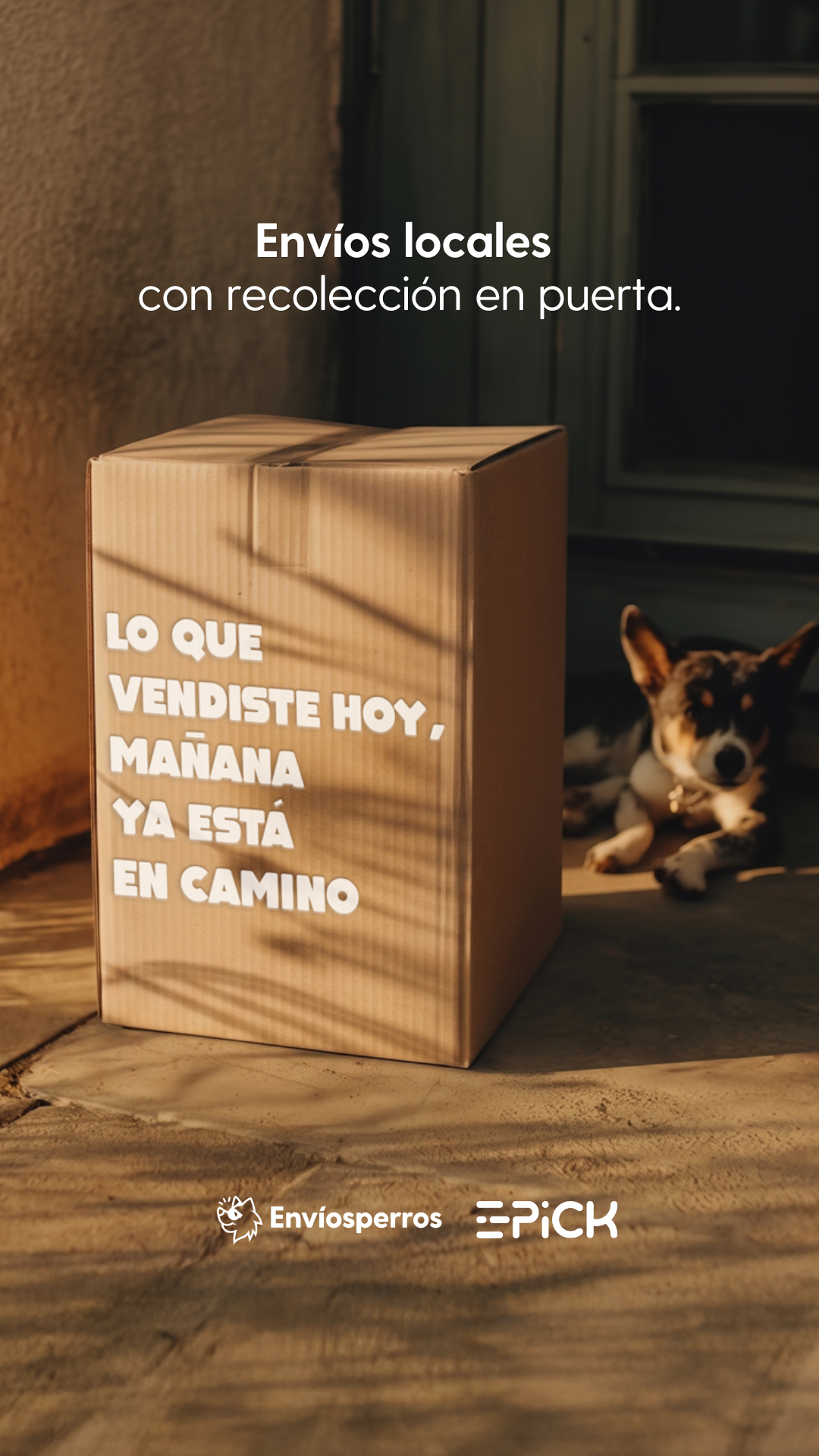 Envíosperros Facebook ad
