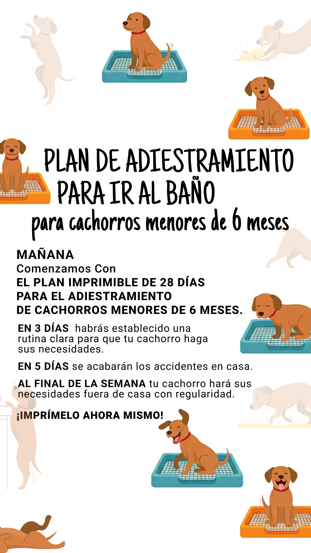 Woofz - Puppy Training Facebook ad