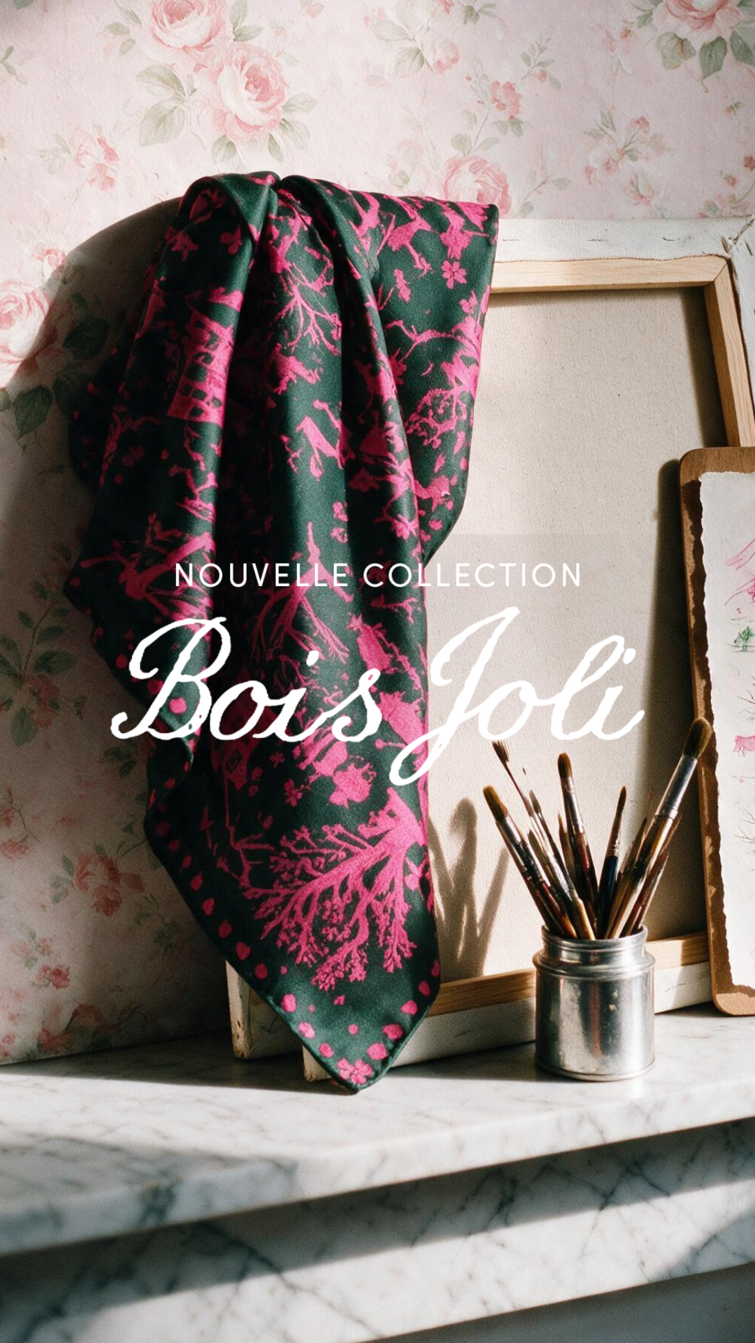 Soi Paris Facebook ad