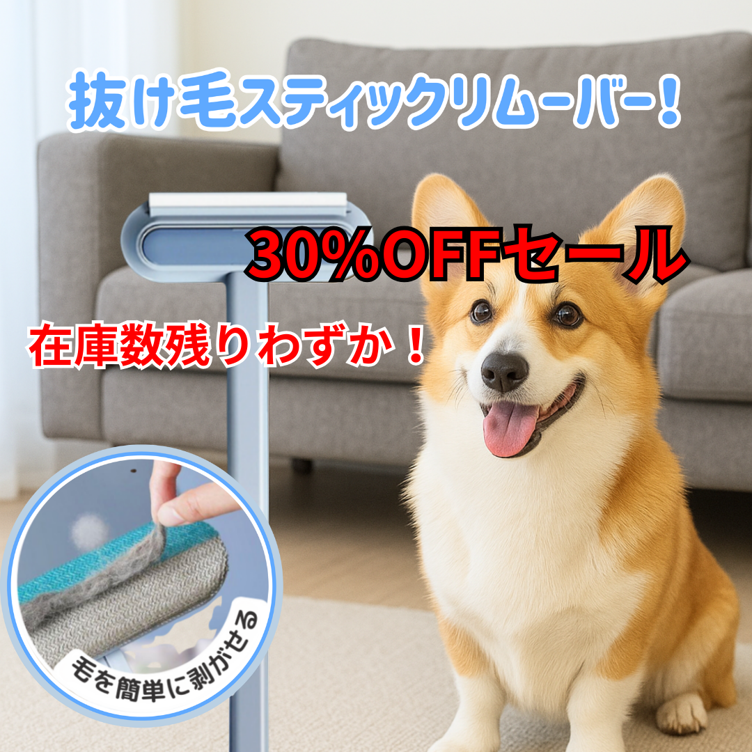 Wonderful World Dog Facebook ad: 抜け毛スティックリムーバー