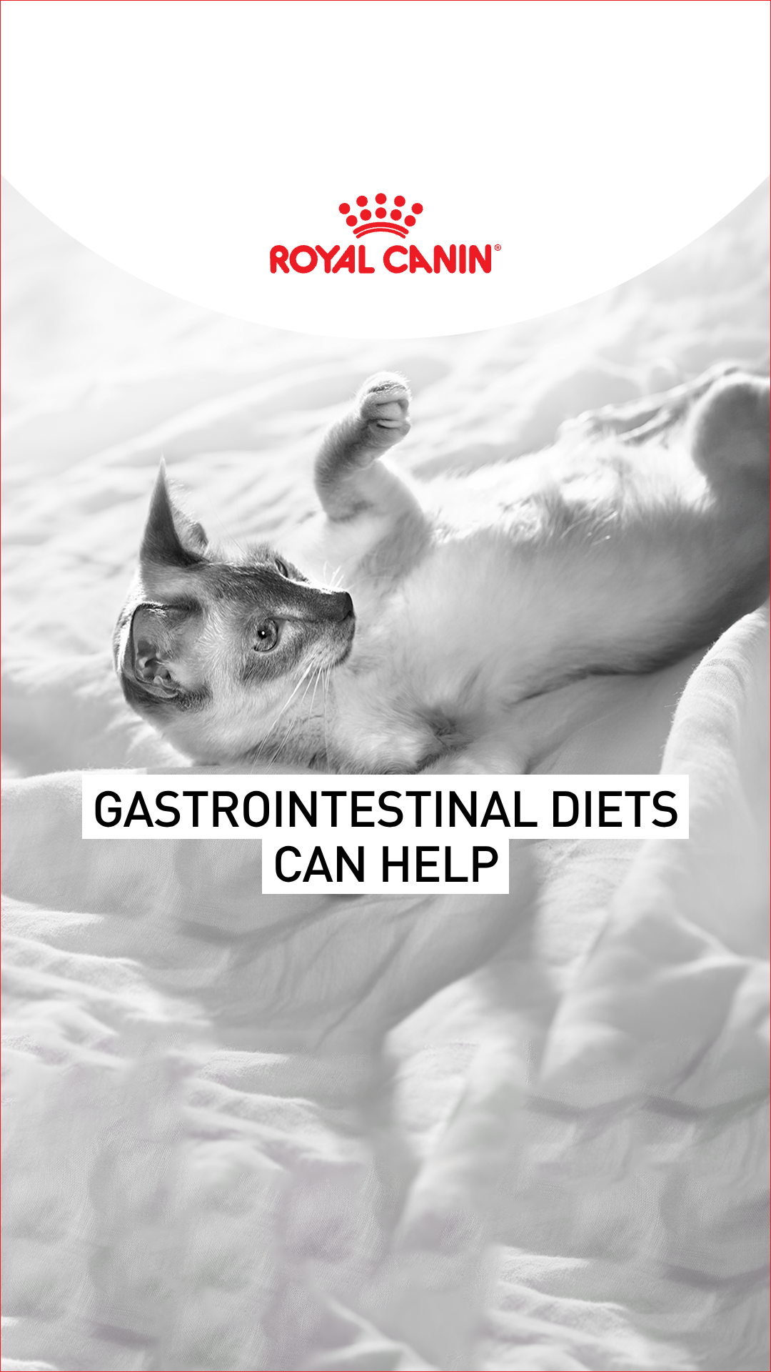 Royal Canin Facebook ad