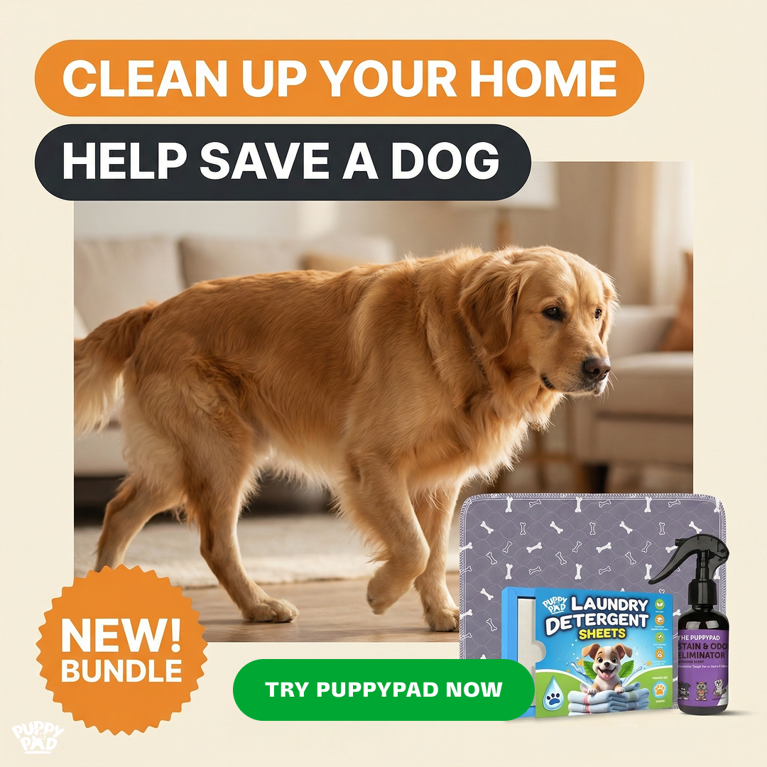 PuppyPad Facebook ad