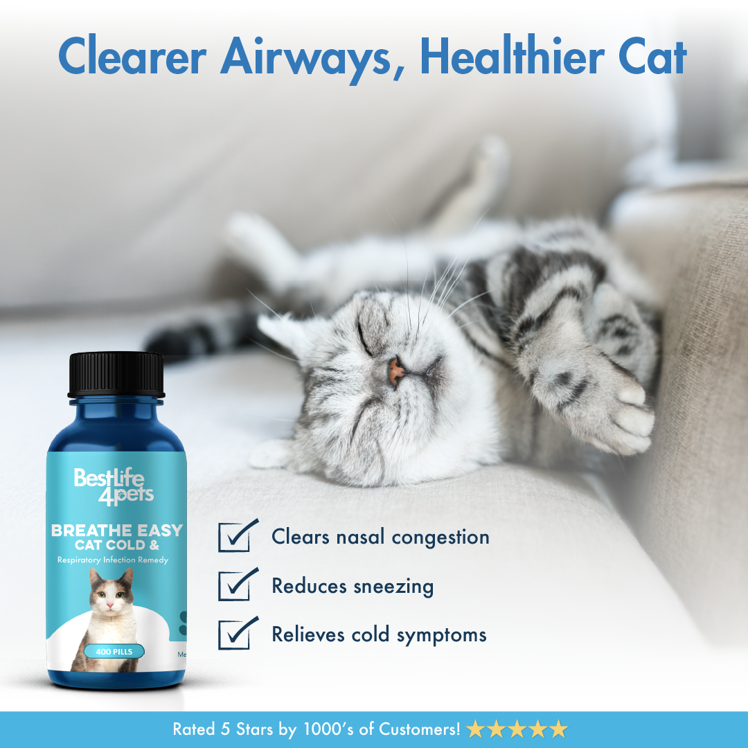BestLife4Pets Facebook ad