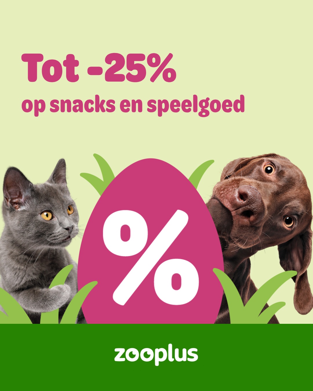 zooplus Facebook ad