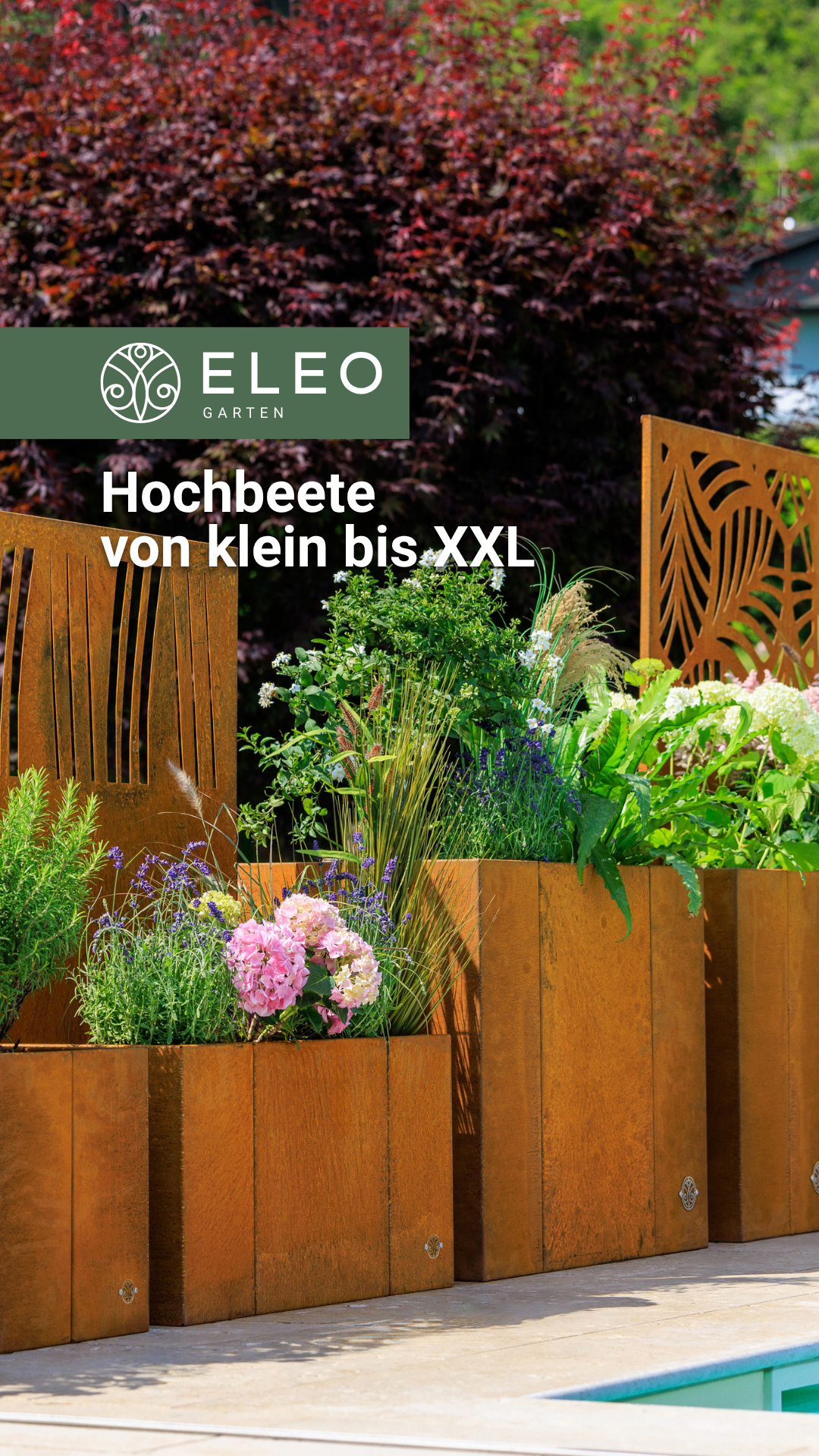 ELEO Facebook ad