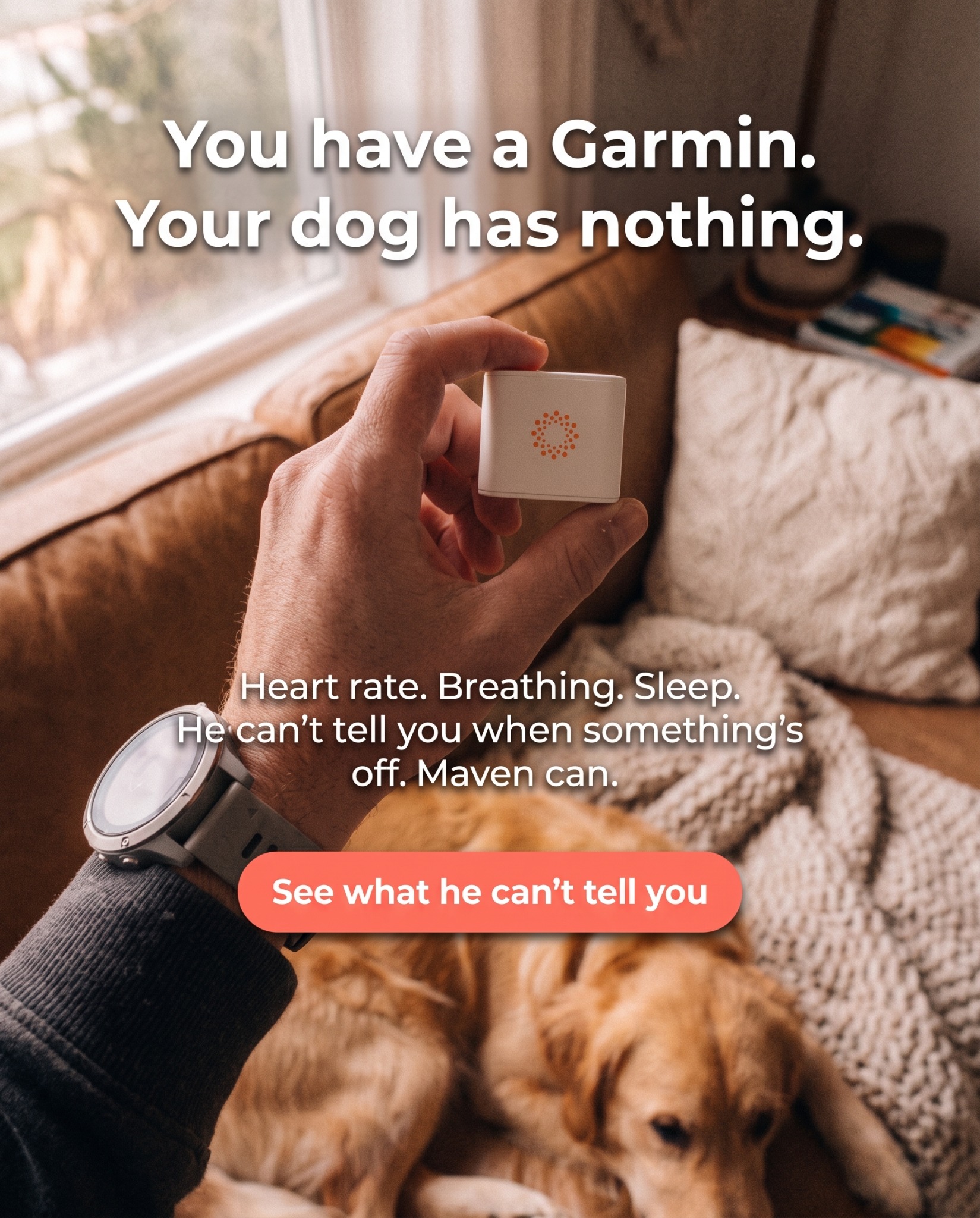 Maven Pet Facebook ad