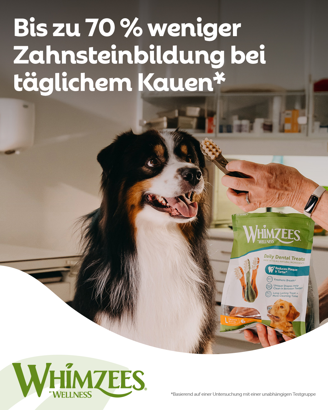 Whimzees Dental Dog Treats Facebook ad: Bis zu 70 % weniger Zahnsteinbildung dank täglichem…