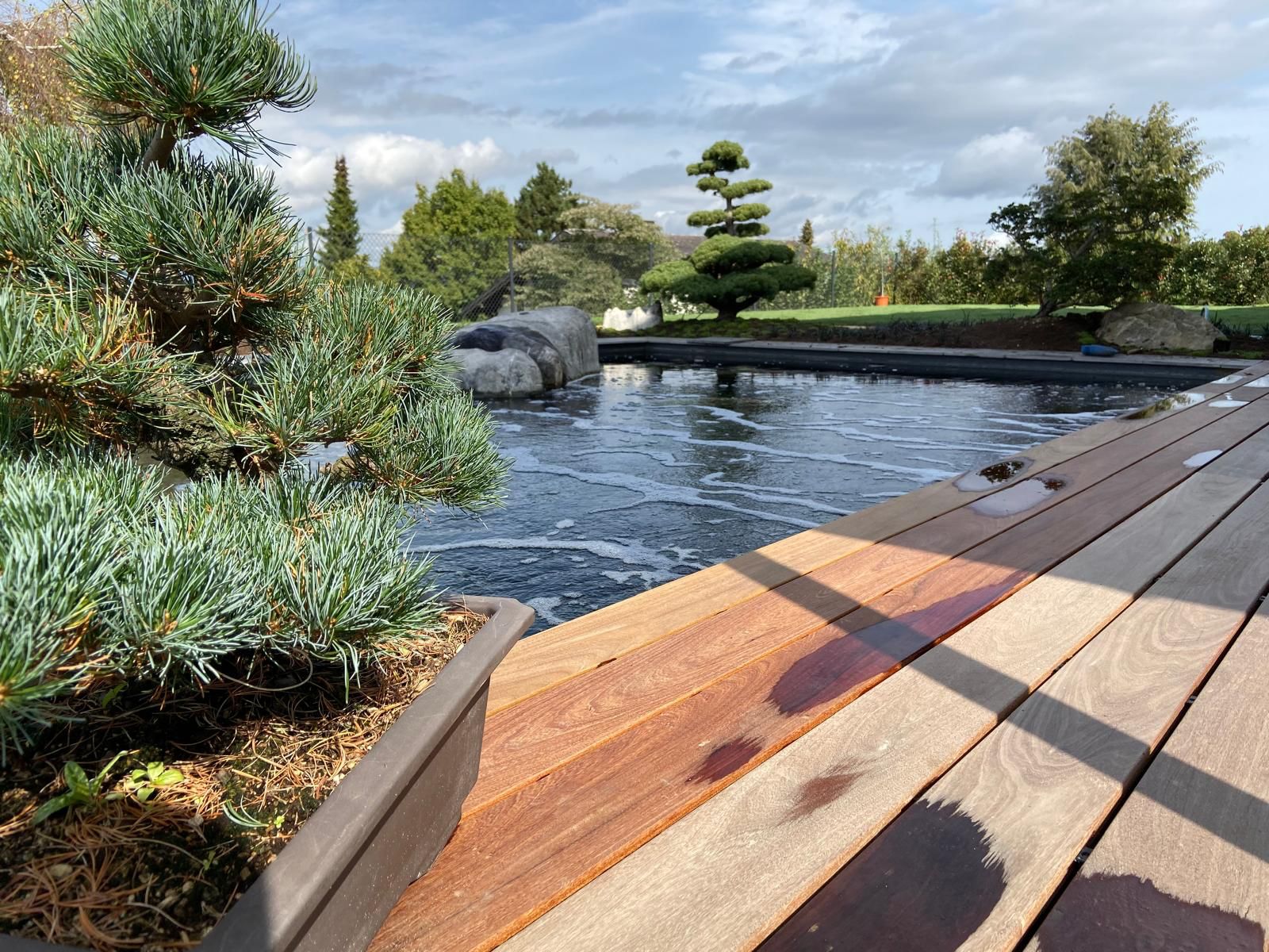Cäsar Garten Facebook ad: Mehr als nur ein Garten