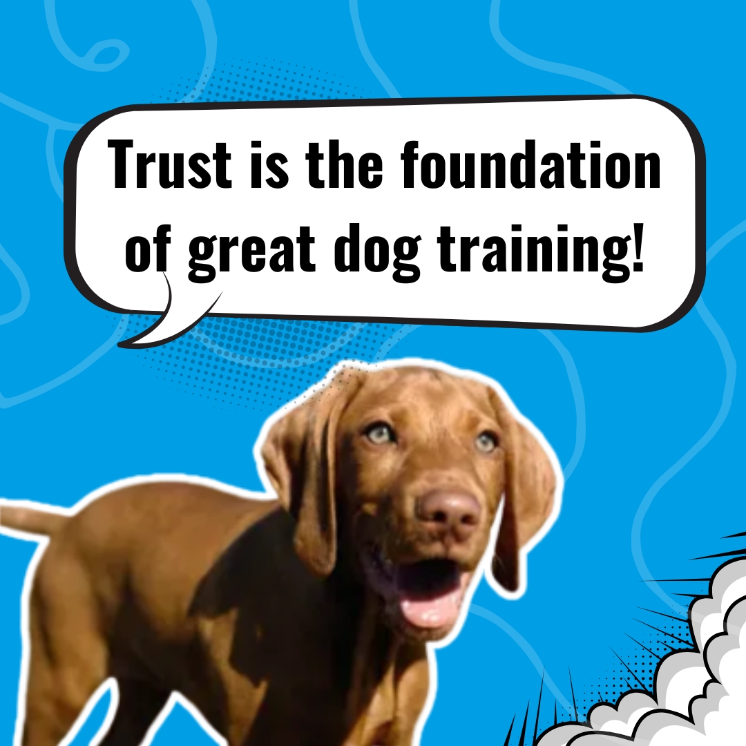 Barer Pet Behavior Consulting & Dog Training Facebook ad