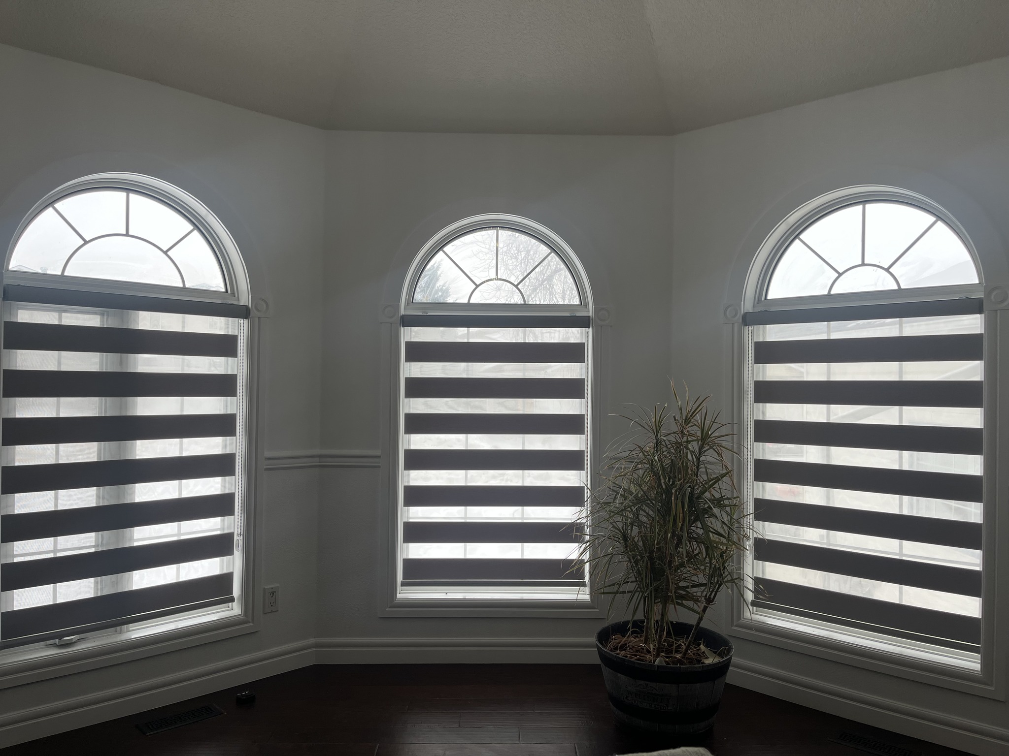 Jerin Varghese Facebook ad: Blinds & Shades | Custom Luxury Zebra & Roller Blinds