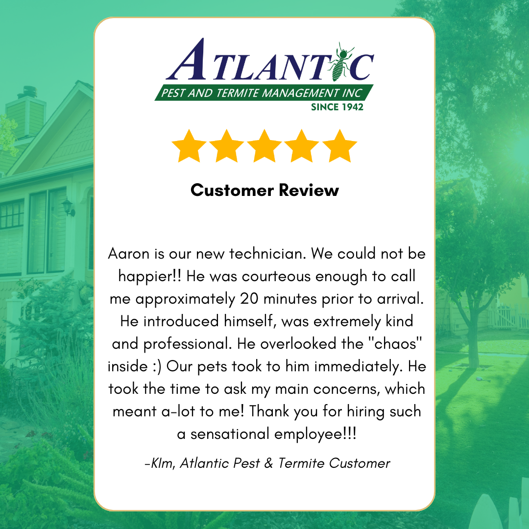 Atlantic Pest and Termite Management Inc. Facebook ad