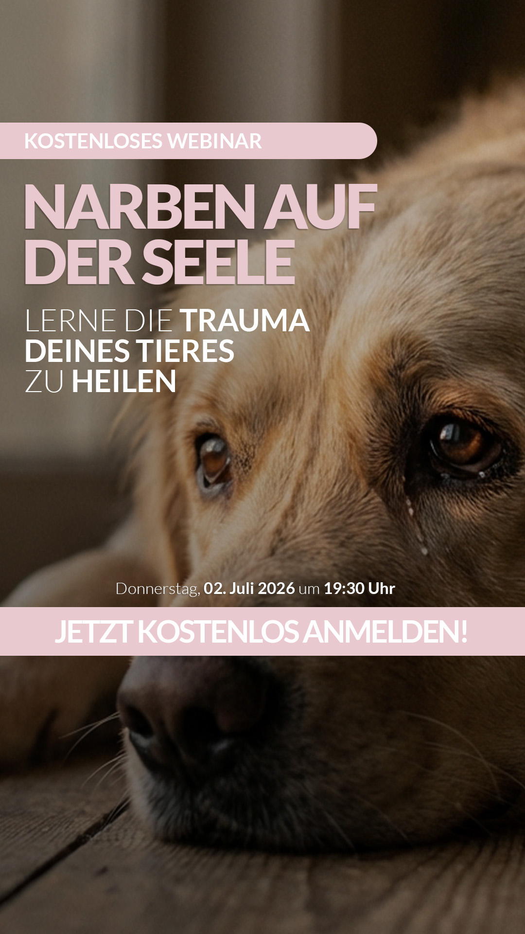 Tierkommunikation Lisa-Maria Kastenberger Facebook ad