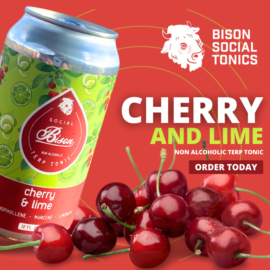 Bison Social Tonics Facebook ad
