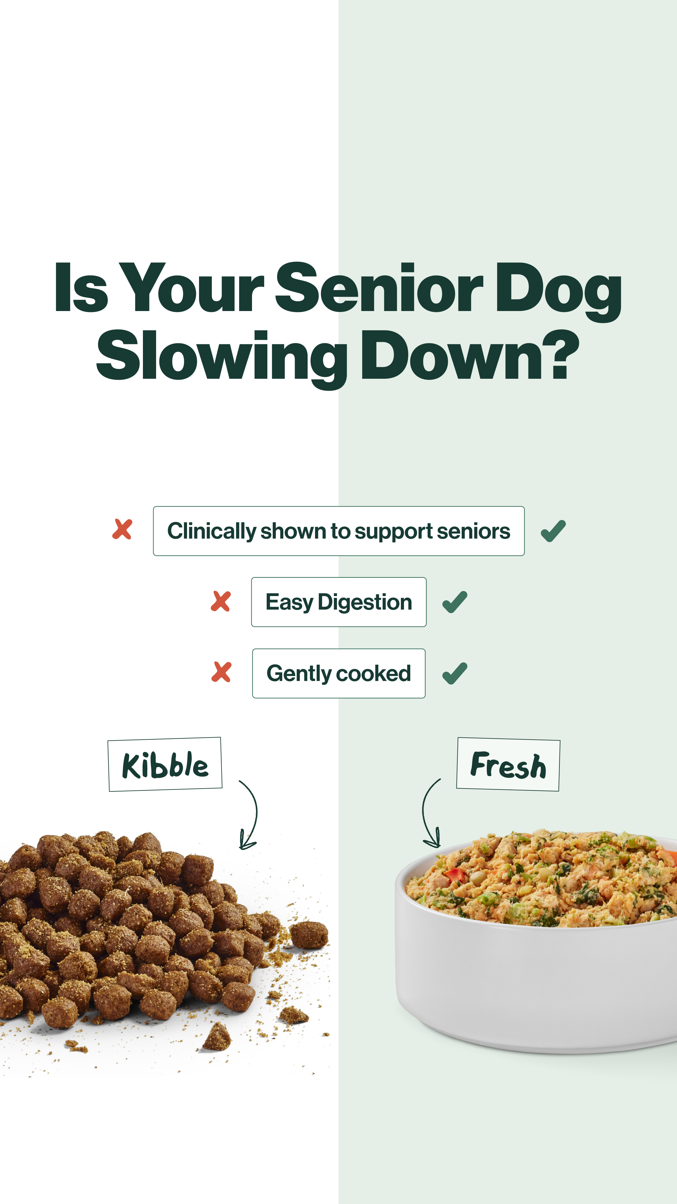 The Farmer's Dog Facebook ad
