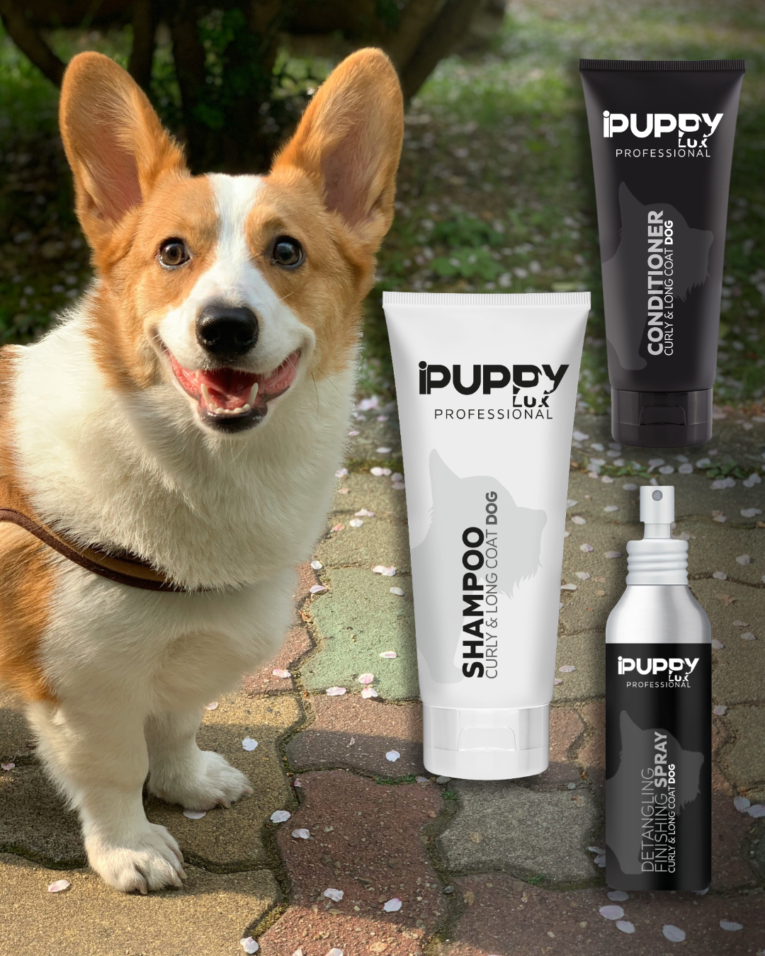 IPuppyLux Professional Facebook ad
