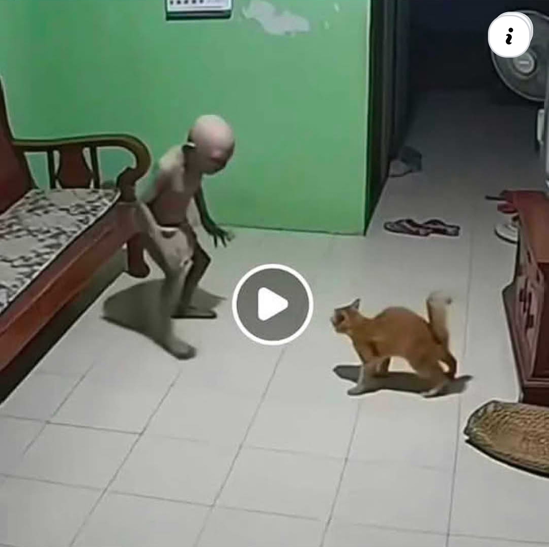 Kemenangan Terbesar Hari ini Facebook ad: astaghfirullah ternyata tuyull itu beneran ad.Selengkapnya…