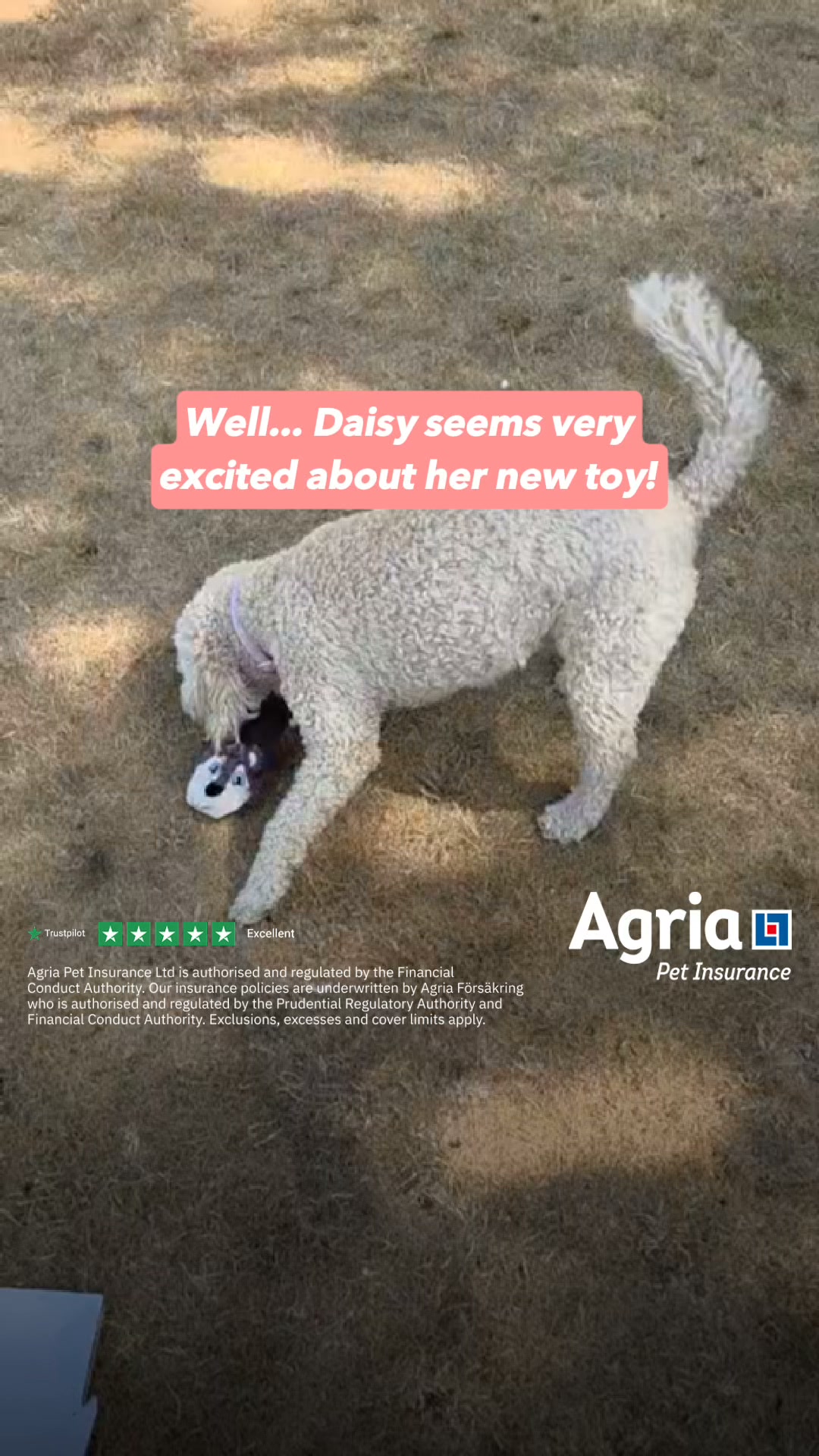 Agria Pet Insurance Facebook ad: Use code LOVE for a FREE luxury hamper.