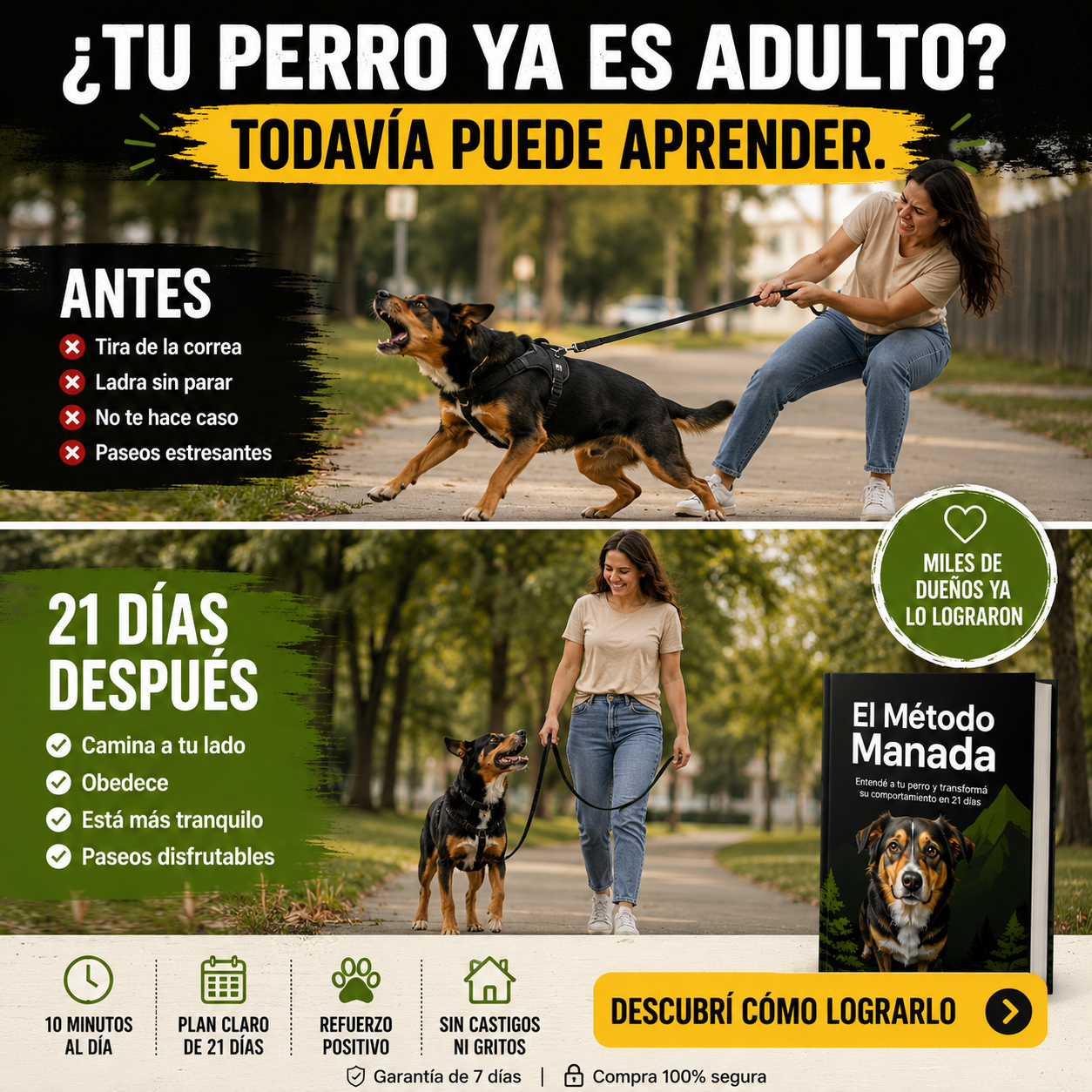 DigitalMente Facebook ad: ¿Tu perro ya es adulto? Todavía puede aprender.