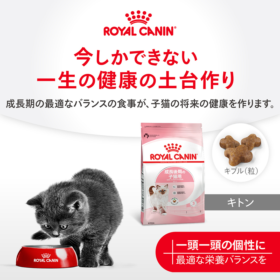 Royal Canin Japon Facebook ad: ロイヤルカナン公式オンラインストア限定!新規会員登録で「送料無料クーポン」をプレゼント!…