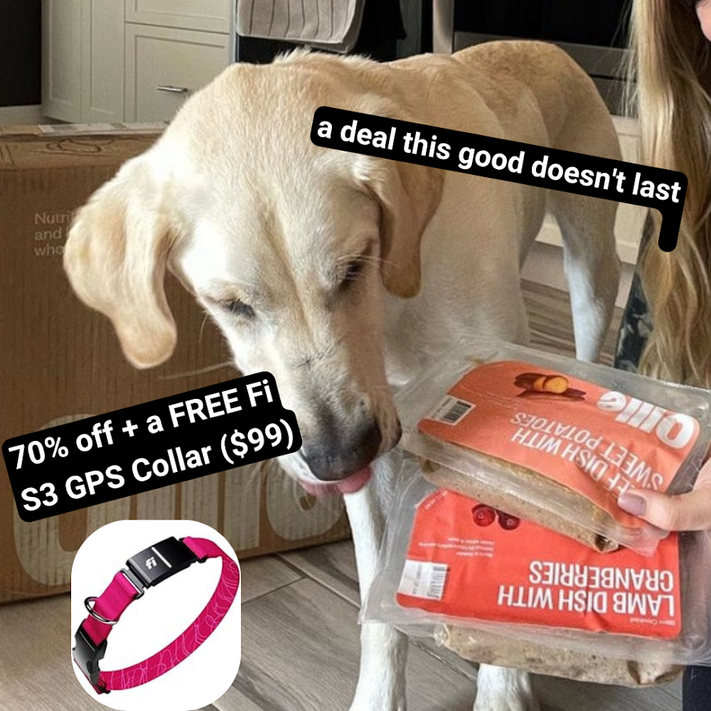 Abby Power Facebook ad