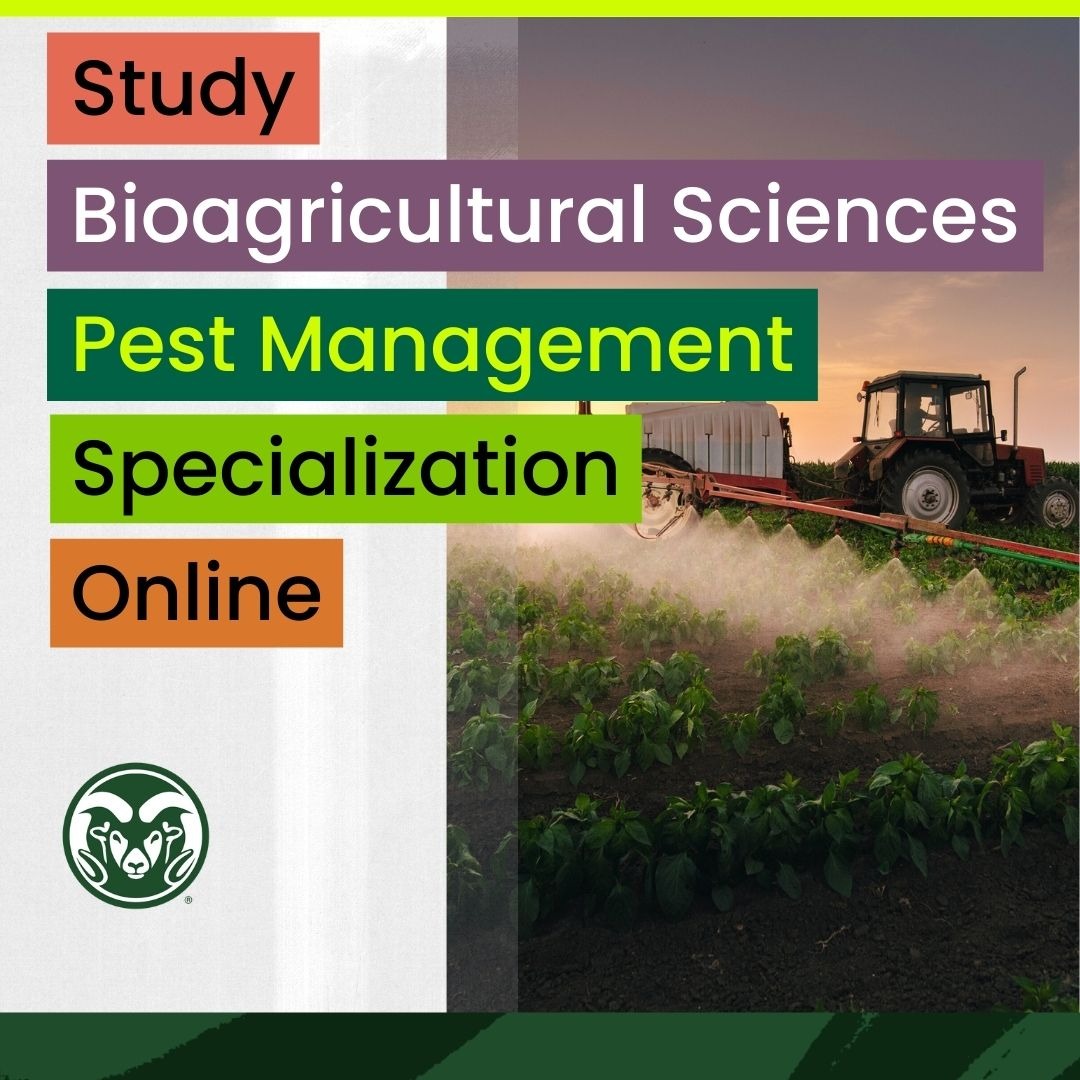 Colorado State University Online Facebook ad