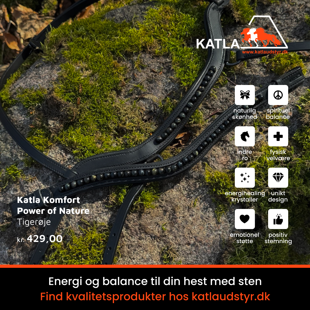 Katlaudstyr.dk Facebook ad: Udstyr til islandske heste