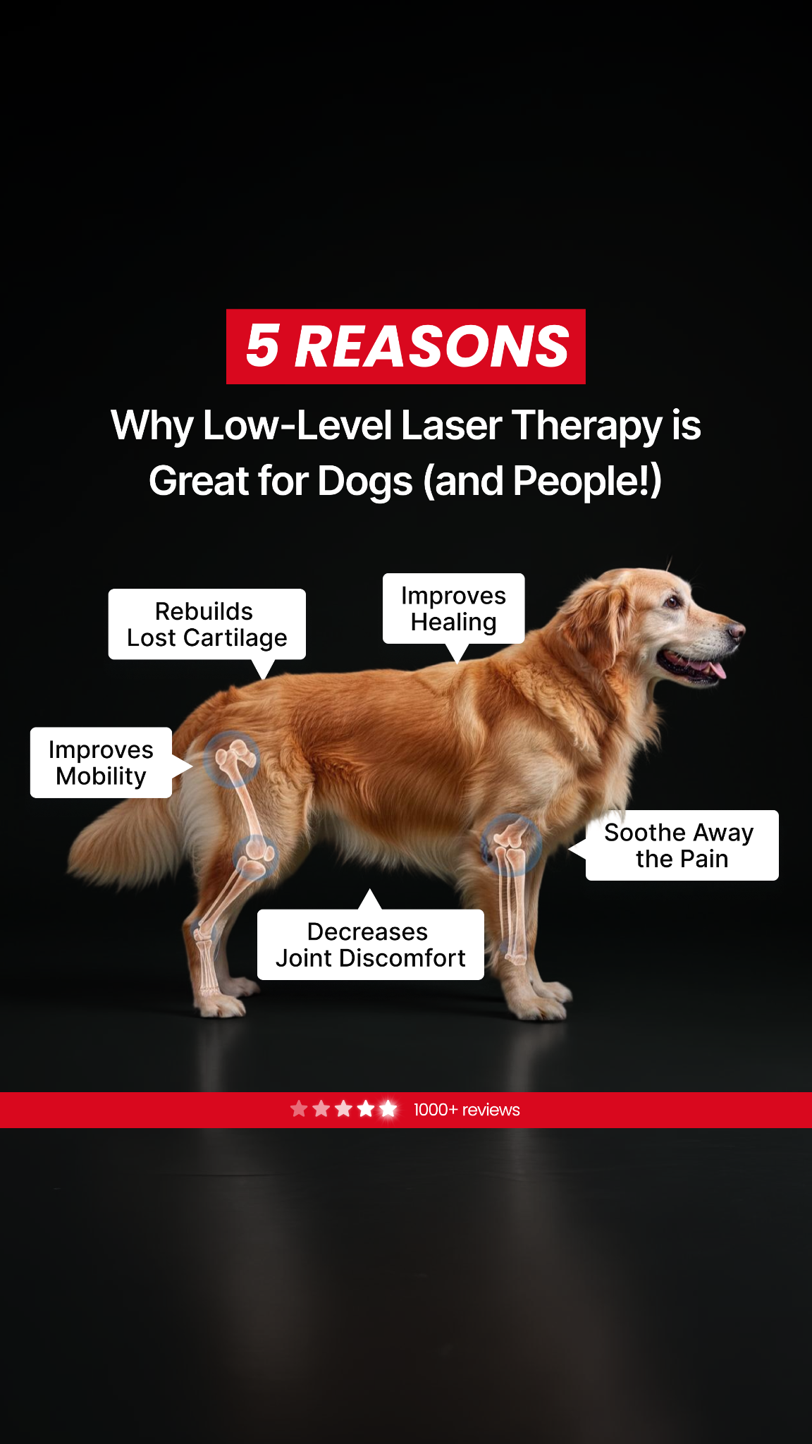 Helio Pet Facebook ad