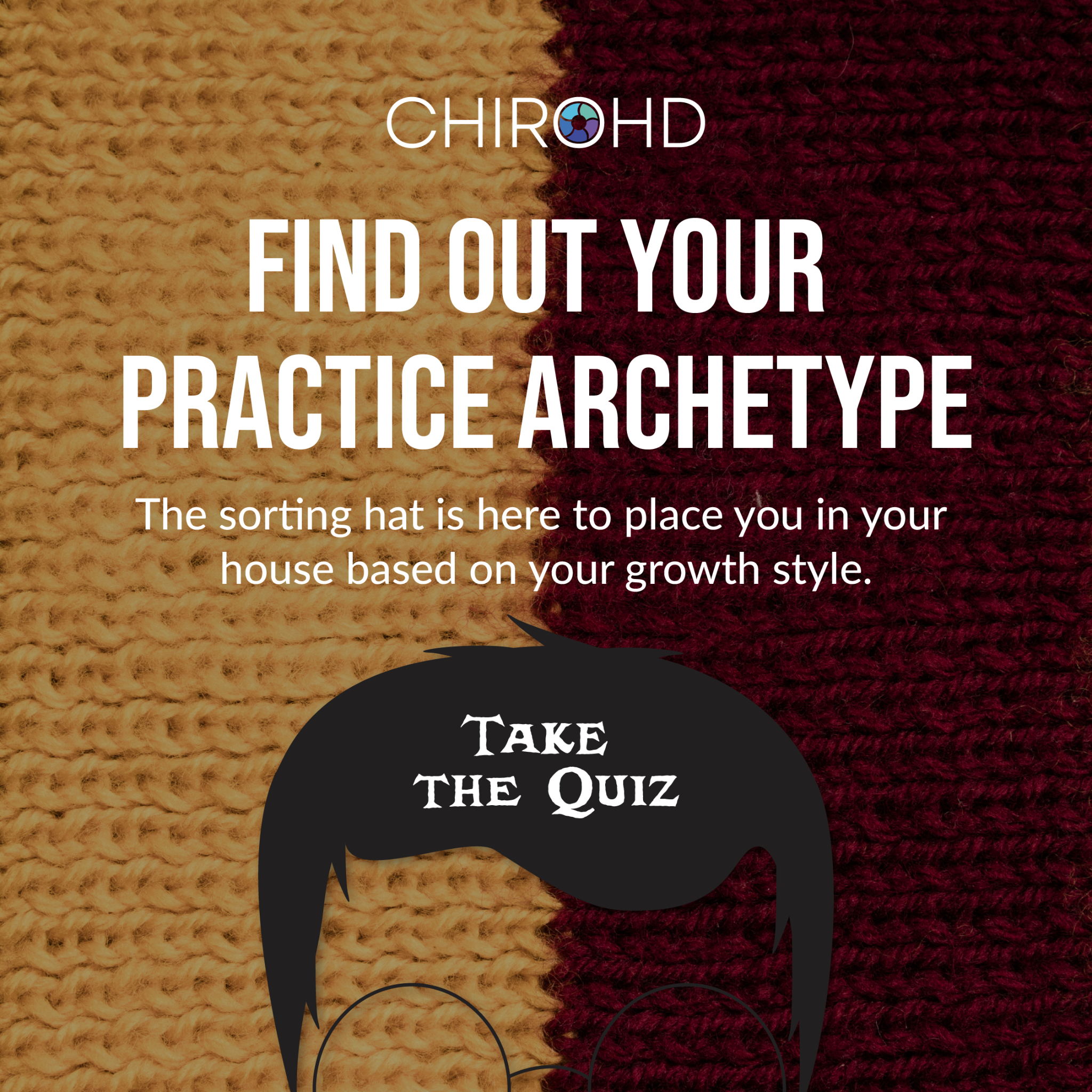 ChiroHD Software Facebook ad: Which practice House are you in?