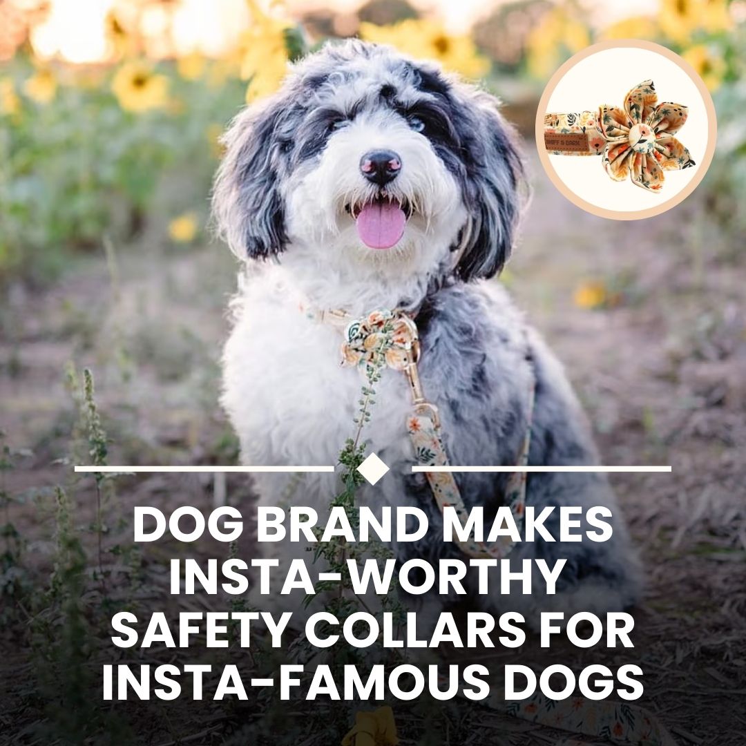 Sniff & Bark Facebook ad