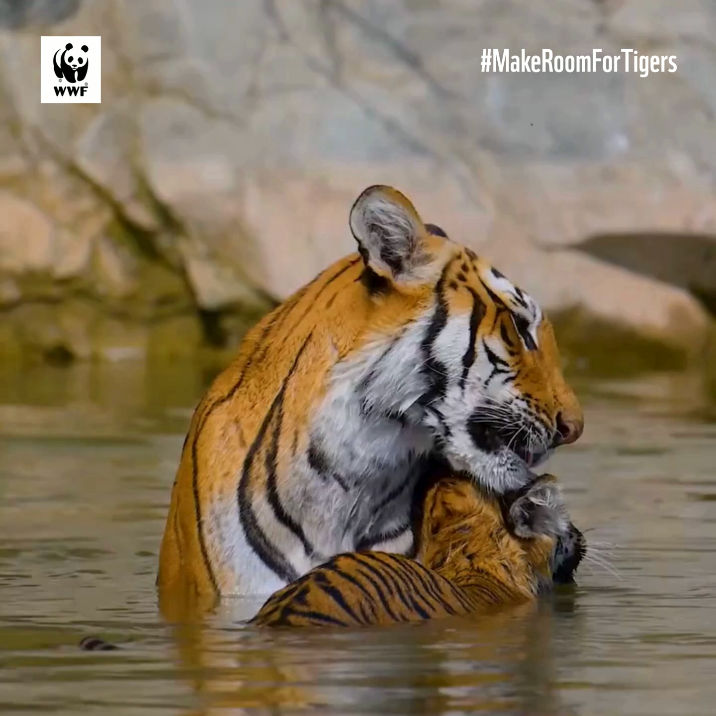 WWF-India Facebook ad: Their Future Depends on What We Do Today