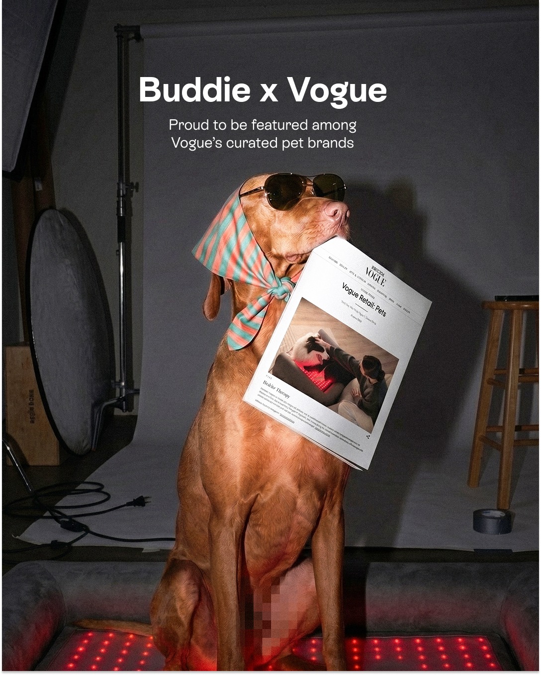 Buddie Pet Therapy Facebook ad