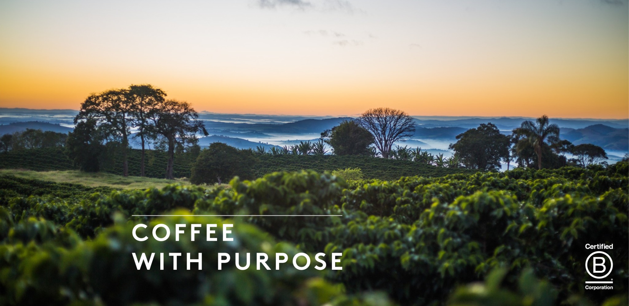 Union Hand-Roasted Coffee Facebook ad