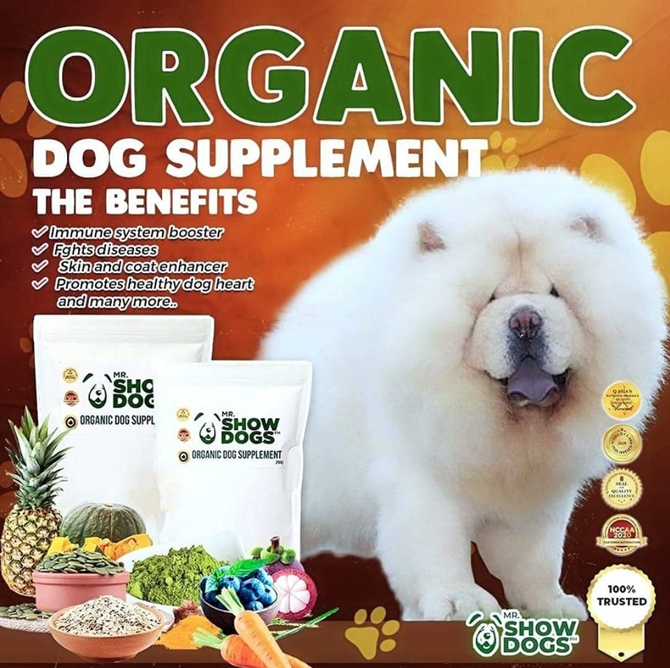 Mr.ShowDogs Ph Facebook ad: ๐๐ก๐ ๐๐๐ญ๐ฎ๐ซ๐๐ฅ ๐๐ก๐จ๐ข๐๐ ๐๐จ๐ซ ๐๐จ๐ฎ๐ซโฆ