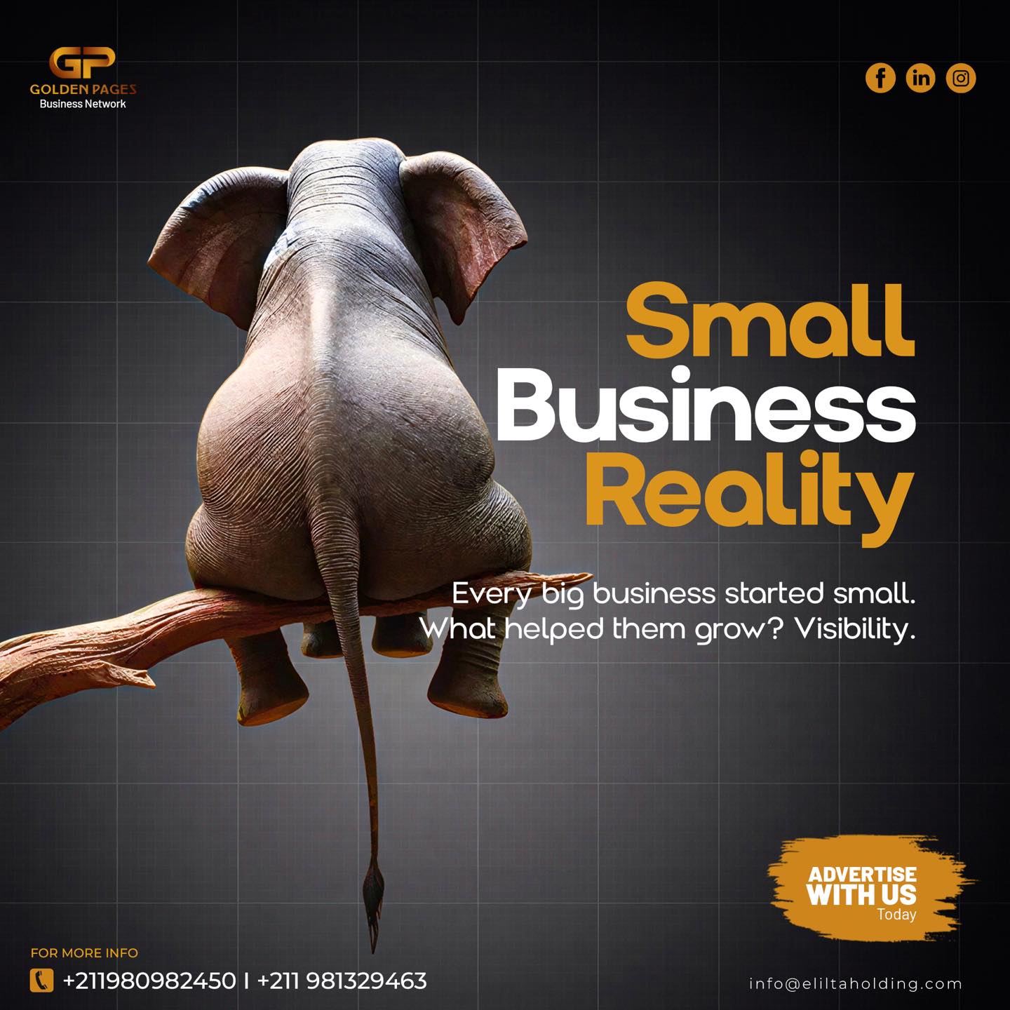 Golden Pages Business Network - SSD Facebook ad: Small Business Reality