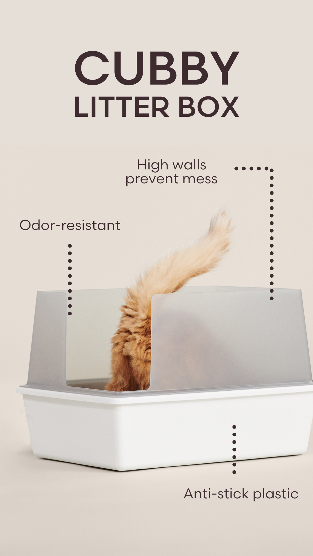 Tuft + Paw Facebook ad