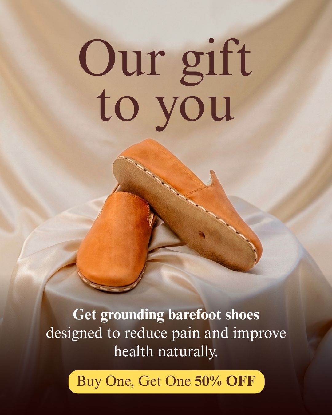 Earthing Harmony Facebook ad