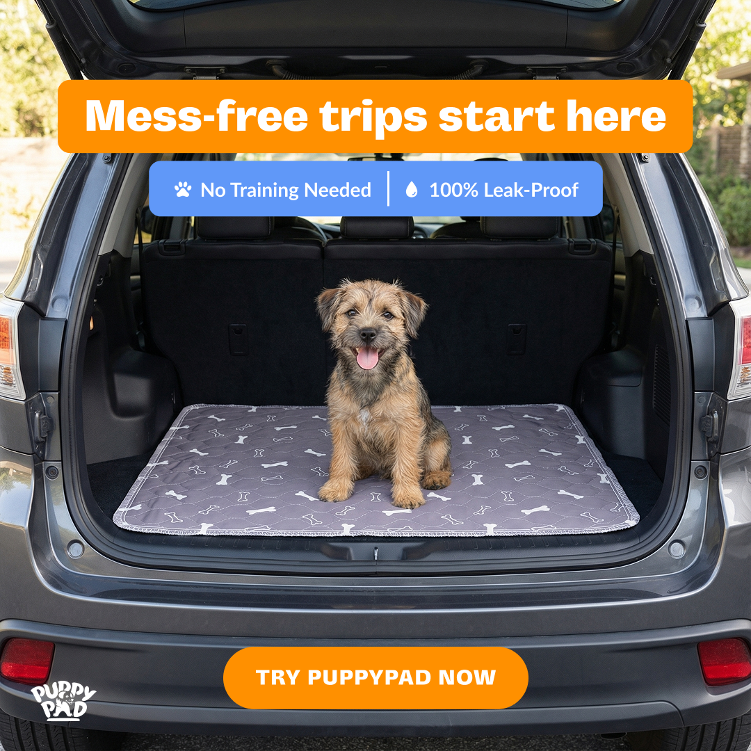 PuppyPad Facebook ad