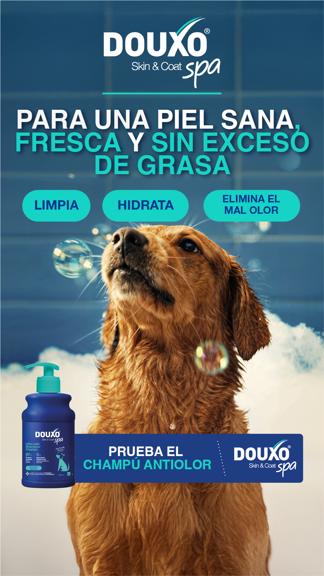 Douxo S3 ES Facebook ad