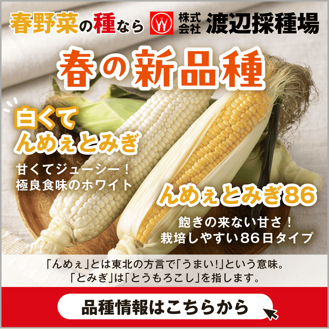 渡辺採種場 Facebook ad from Feb 28, 2026