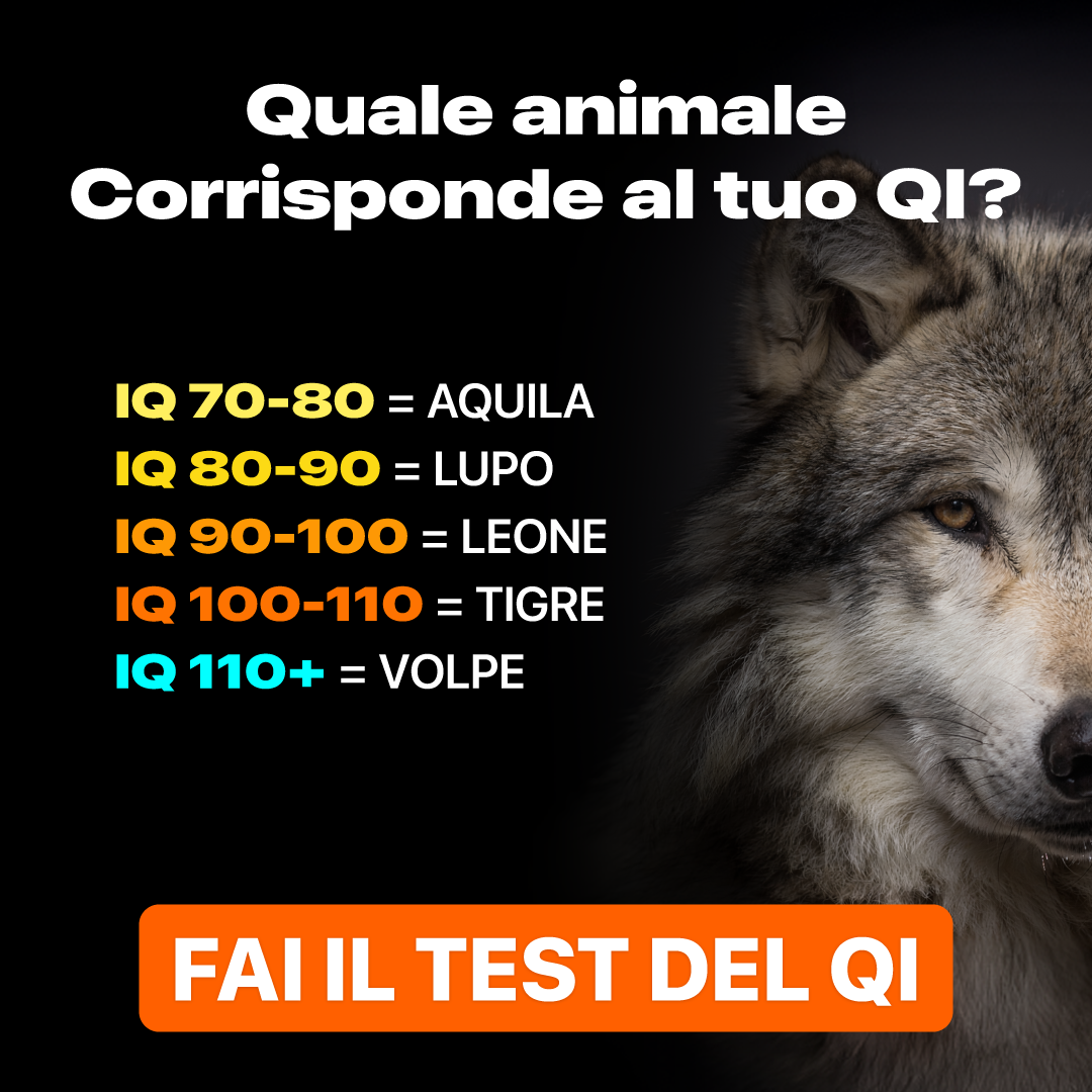 My IQ Facebook ad