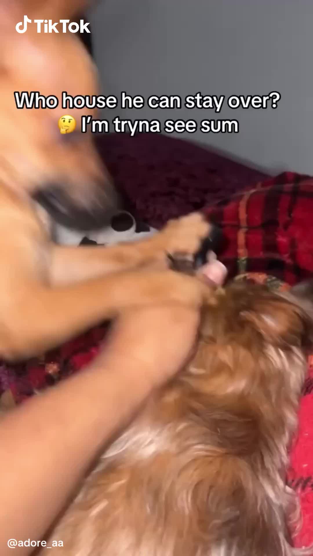 TikTok - US Facebook ad