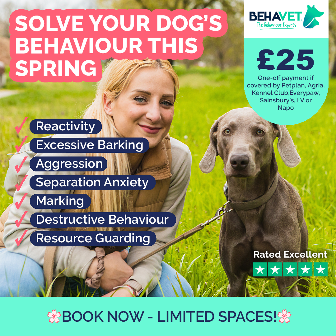 Behavet: The Pet Behaviour Experts Facebook ad