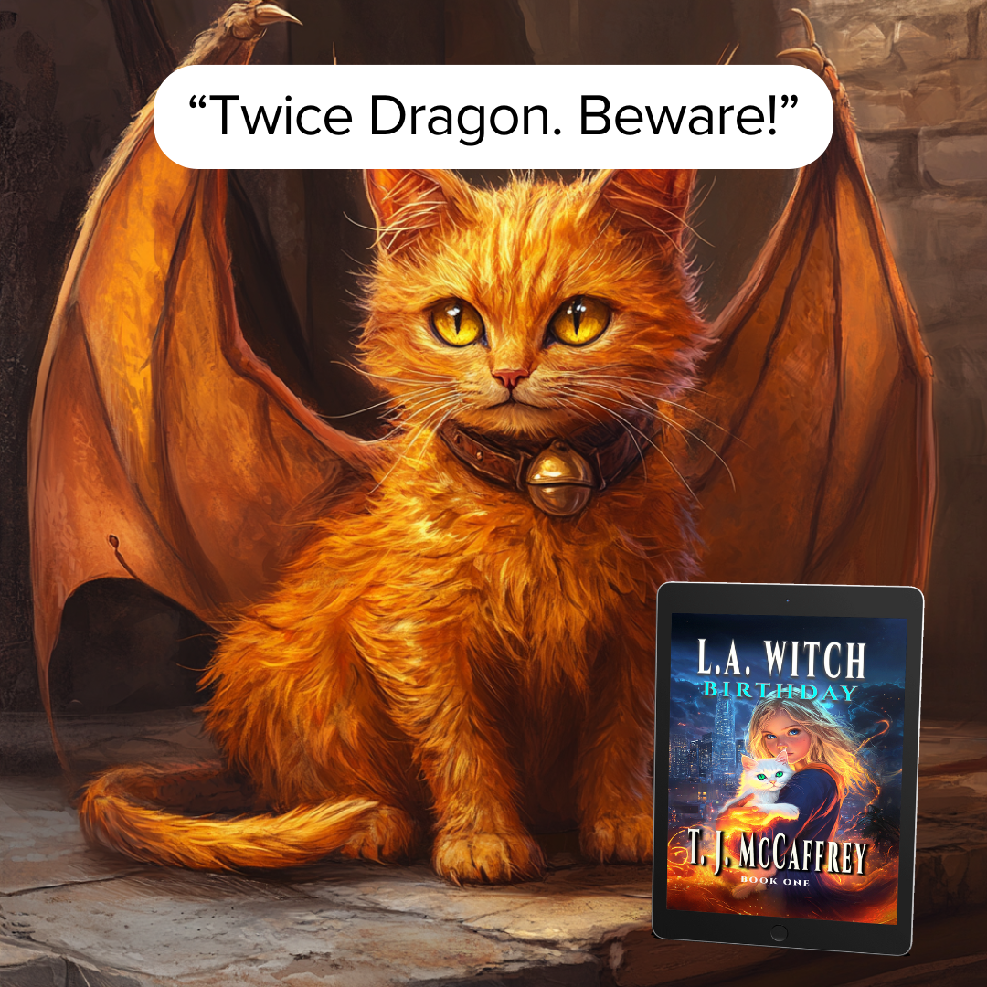 Todd J McCaffrey Facebook ad: Scary Librarian, Talking Cat, Spell Book.