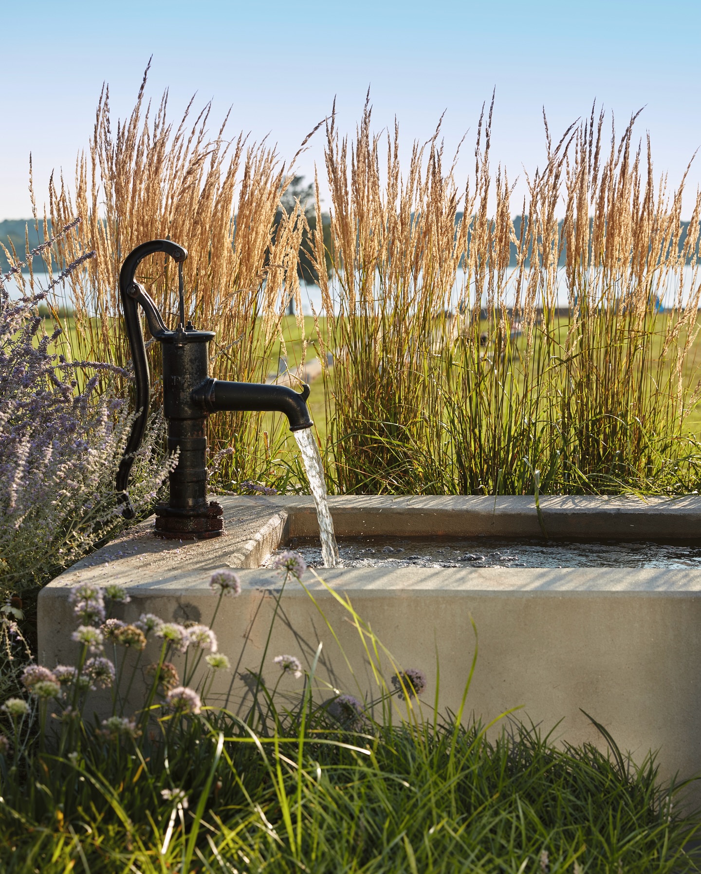The Images Publishing Group Facebook ad: Enduring Gardens by Campion Landscape Architects showcases…