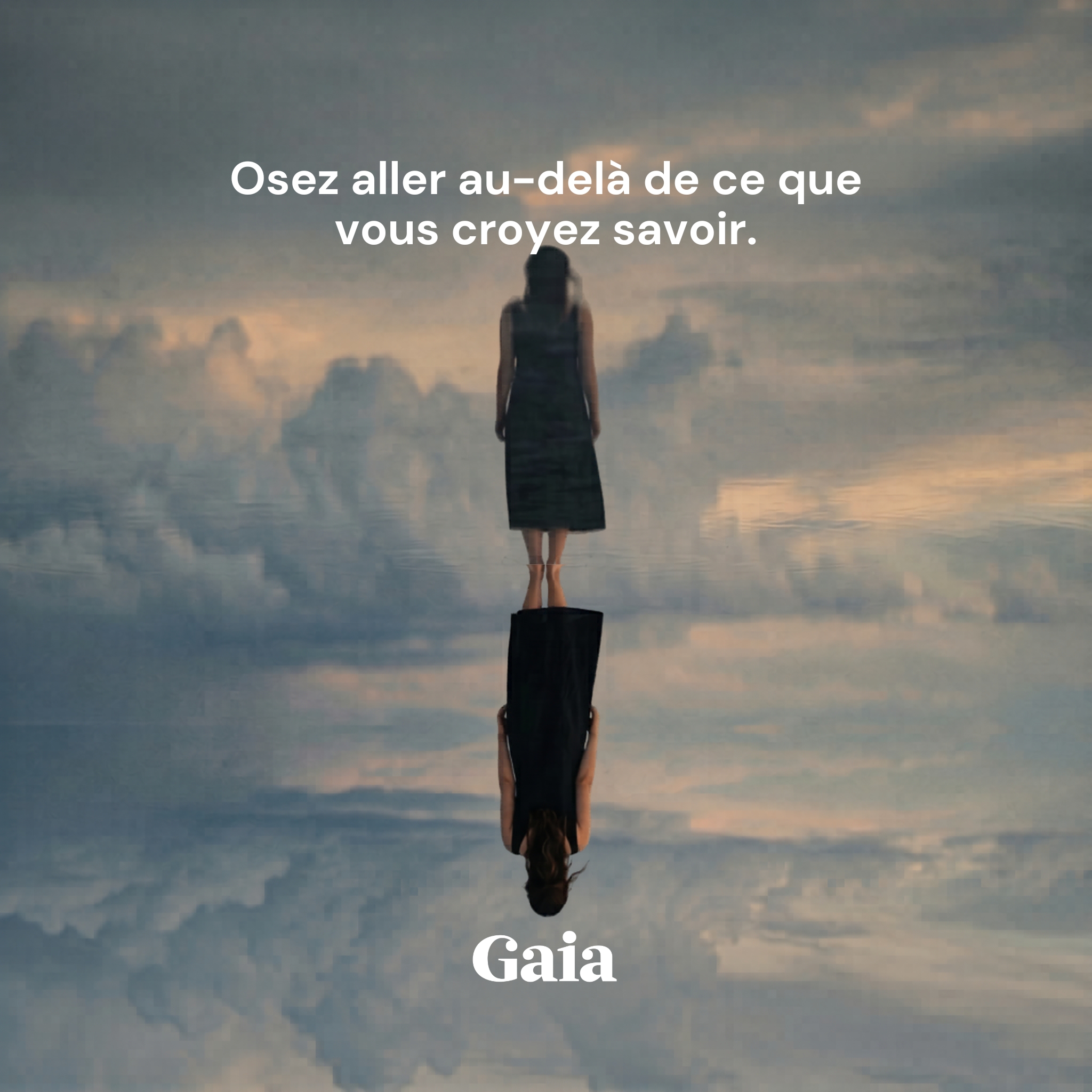 Nous Sommes Gaia Facebook ad