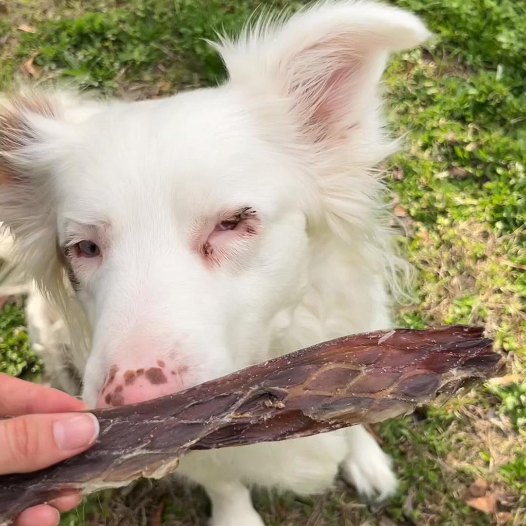 Bonez Treats Facebook ad