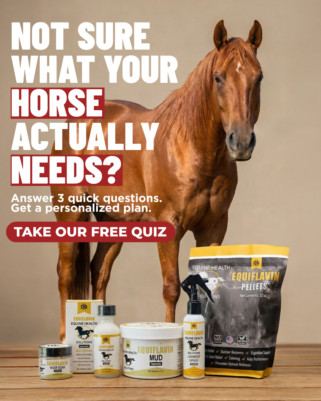 Equine Health Solutions Facebook ad