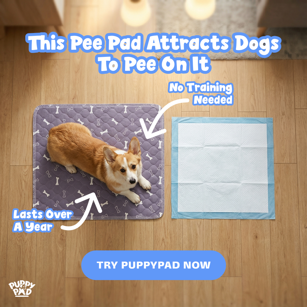 PuppyPad Facebook ad