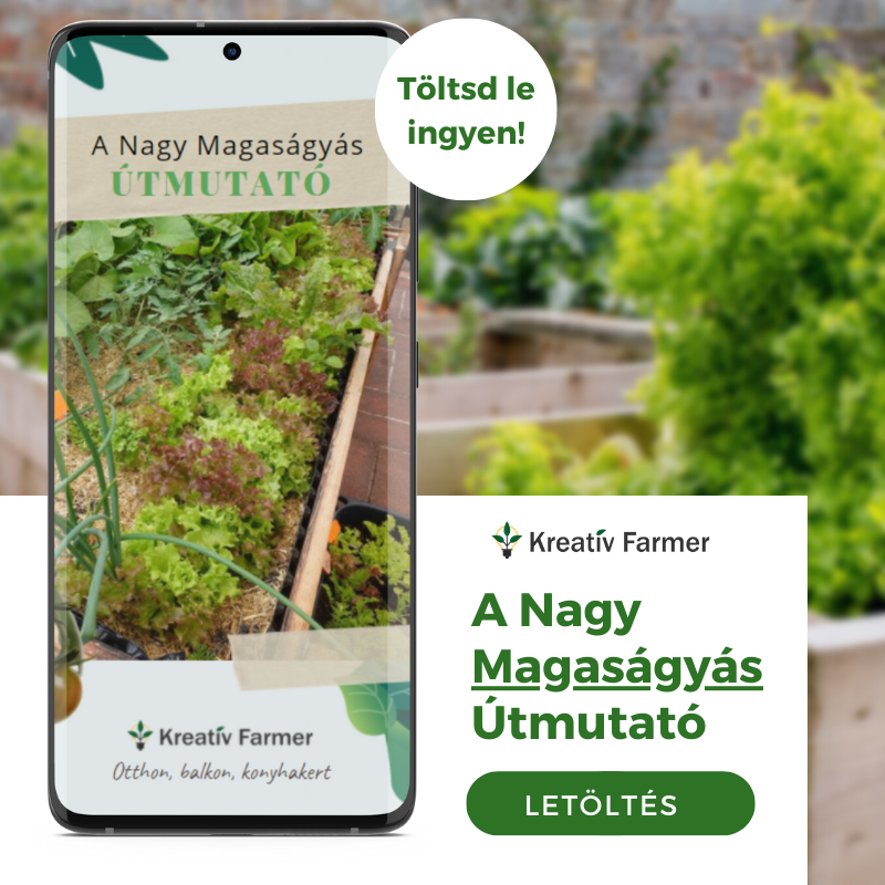 Kreatív Farmer Facebook ad: Magaságyás Kisokos